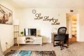 Serene Apartment, Close to Medical Center, MD Anderson